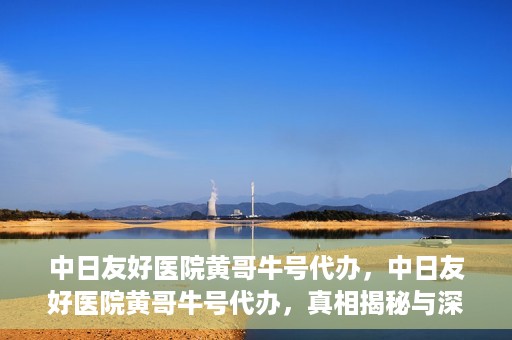 中日友好医院黄哥牛号代办，中日友好医院黄哥牛号代办，真相揭秘与深度解析