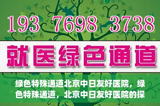 绿色特殊通道北京中日友好医院，绿色特殊通道，北京中日友好医院的探索与实践