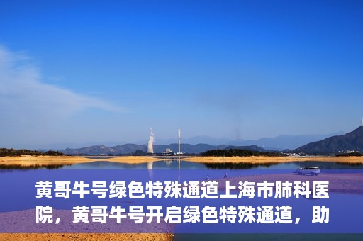 黄哥牛号绿色特殊通道上海市肺科医院，黄哥牛号开启绿色特殊通道，助力上海市肺科医院高效就医体验