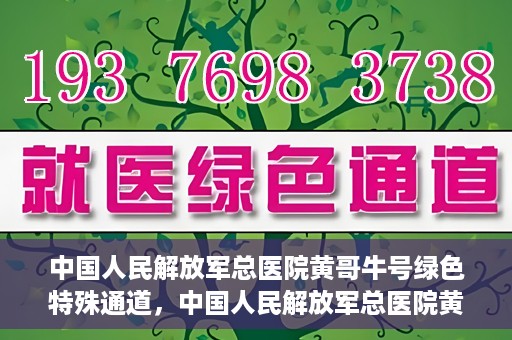 中国人民解放军总医院黄哥牛号绿色特殊通道，中国人民解放军总医院黄哥牛号，绿色特殊通道开启健康之门