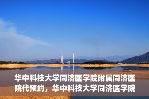 华中科技大学同济医学院附属同济医院代预约，华中科技大学同济医学院附属同济医院便捷预约服务解析
