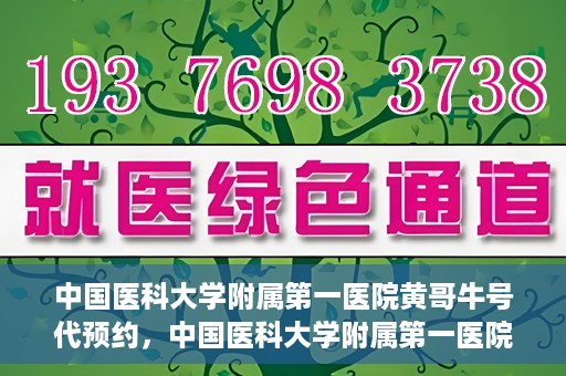 中国医科大学附属第一医院黄哥牛号代预约，中国医科大学附属第一医院黄哥牛号预约服务详解