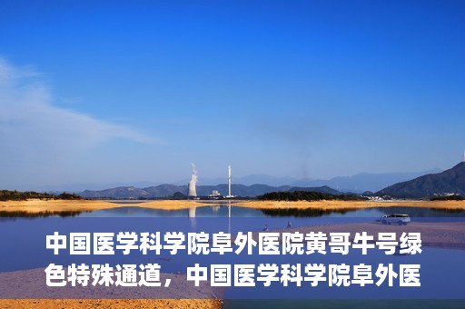 中国医学科学院阜外医院黄哥牛号绿色特殊通道，中国医学科学院阜外医院黄哥牛号，绿色特殊通道的医学力量探索