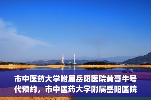 市中医药大学附属岳阳医院黄哥牛号代预约，市中医药大学附属岳阳医院黄哥牛号预约服务启动