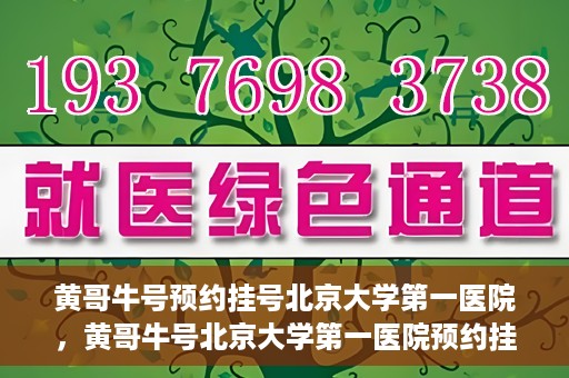 黄哥牛号预约挂号北京大学第一医院，黄哥牛号北京大学第一医院预约挂号攻略