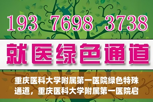 重庆医科大学附属第一医院绿色特殊通道，重庆医科大学附属第一医院启动绿色特殊通道，高效医疗服务的探索与实践