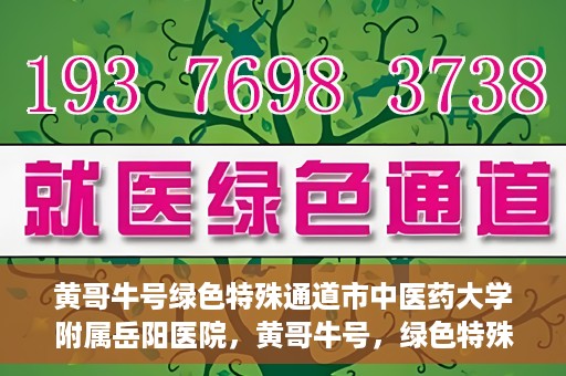 黄哥牛号绿色特殊通道市中医药大学附属岳阳医院，黄哥牛号，绿色特殊通道助力中医药大学附属岳阳医院健康前行