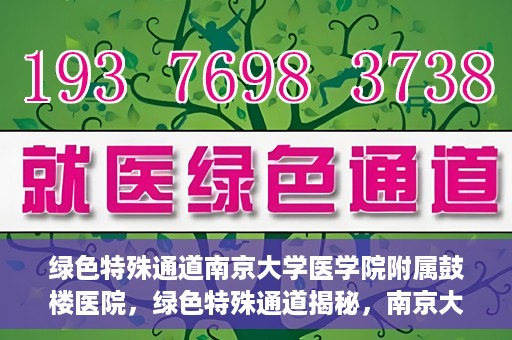 绿色特殊通道南京大学医学院附属鼓楼医院，绿色特殊通道揭秘，南京大学医学院附属鼓楼医院的探索与实践