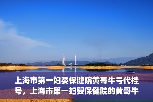 上海市第一妇婴保健院黄哥牛号代挂号，上海市第一妇婴保健院的黄哥牛号代挂号服务解析