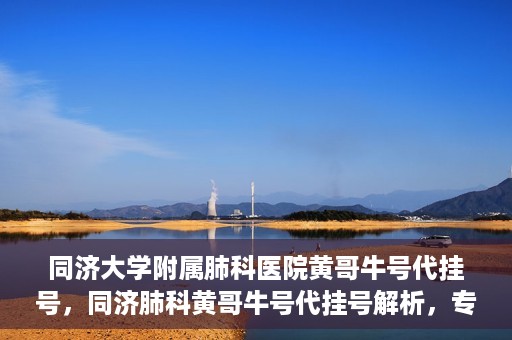 同济大学附属肺科医院黄哥牛号代挂号，同济肺科黄哥牛号代挂号解析，专业医疗服务的深度解读