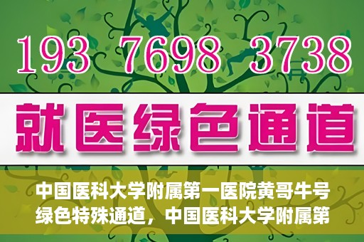 中国医科大学附属第一医院黄哥牛号绿色特殊通道，中国医科大学附属第一医院黄哥牛号，绿色特殊通道的开启与探索