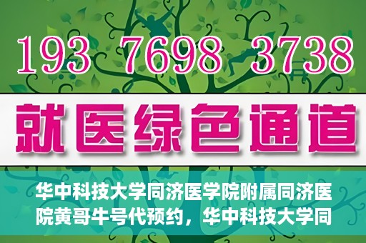 华中科技大学同济医学院附属同济医院黄哥牛号代预约，华中科技大学同济医院黄哥牛号预约服务解析