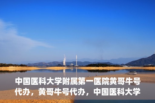 中国医科大学附属第一医院黄哥牛号代办，黄哥牛号代办，中国医科大学附属第一医院挂号服务新动向
