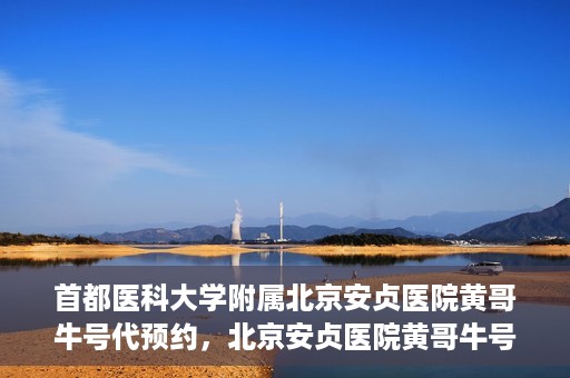 首都医科大学附属北京安贞医院黄哥牛号代预约，北京安贞医院黄哥牛号预约服务解析