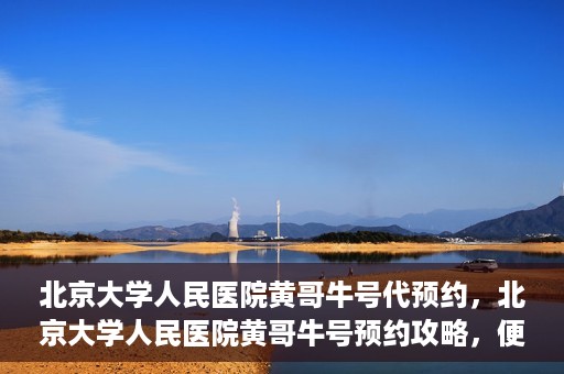 北京大学人民医院黄哥牛号代预约，北京大学人民医院黄哥牛号预约攻略，便捷代预约服务解析