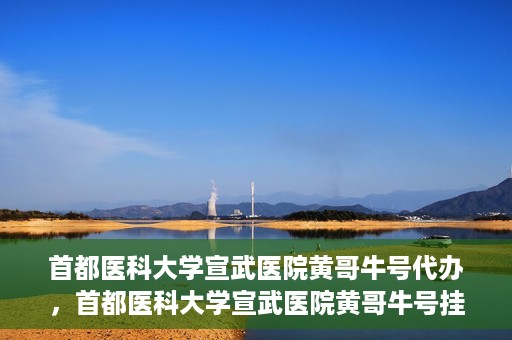 首都医科大学宣武医院黄哥牛号代办，首都医科大学宣武医院黄哥牛号挂号代办攻略