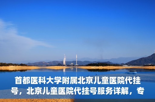 首都医科大学附属北京儿童医院代挂号，北京儿童医院代挂号服务详解，专业医疗与便捷服务的结合