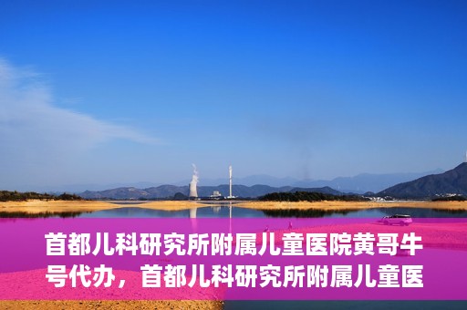 首都儿科研究所附属儿童医院黄哥牛号代办，首都儿科研究所附属儿童医院黄哥牛号业务代办全解析