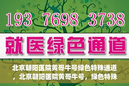 北京朝阳医院黄哥牛号绿色特殊通道，北京朝阳医院黄哥牛号，绿色特殊通道开启健康之门