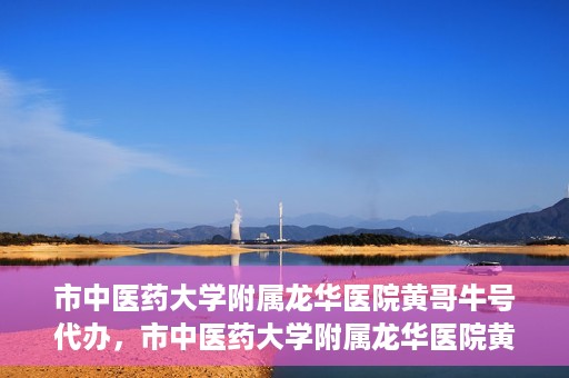市中医药大学附属龙华医院黄哥牛号代办，市中医药大学附属龙华医院黄哥牛号代办——一站式医疗服务的信赖之选