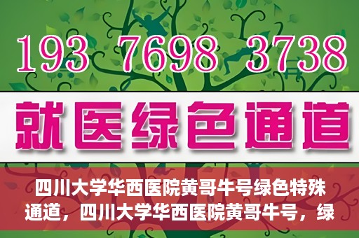 四川大学华西医院黄哥牛号绿色特殊通道，四川大学华西医院黄哥牛号，绿色特殊通道开启生命之门
