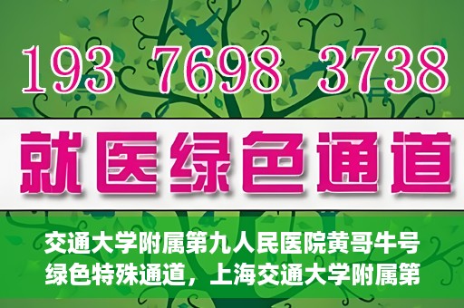 交通大学附属第九人民医院黄哥牛号绿色特殊通道，上海交通大学附属第九人民医院黄哥牛号，绿色特殊通道开启健康之门