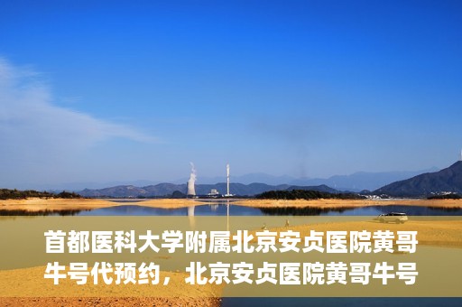首都医科大学附属北京安贞医院黄哥牛号代预约，北京安贞医院黄哥牛号预约服务解析