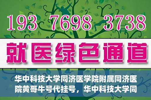 华中科技大学同济医学院附属同济医院黄哥牛号代挂号，华中科技大学同济医院黄哥牛号代挂号背后的故事