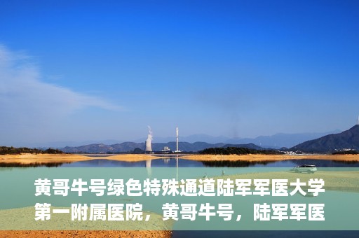 黄哥牛号绿色特殊通道陆军军医大学第一附属医院，黄哥牛号，陆军军医大学第一附属医院开辟绿色特殊通道助力环保健康行动