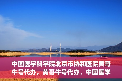 中国医学科学院北京市协和医院黄哥牛号代办，黄哥牛号代办，中国医学科学院北京市协和医院就医新途径探索