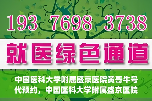 中国医科大学附属盛京医院黄哥牛号代预约，中国医科大学附属盛京医院黄哥牛号预约服务解析