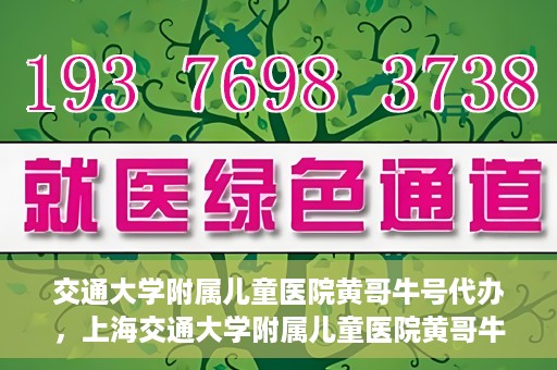 交通大学附属儿童医院黄哥牛号代办，上海交通大学附属儿童医院黄哥牛号代办揭秘，真相与警示