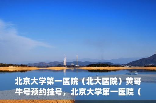 北京大学第一医院（北大医院）黄哥牛号预约挂号，北京大学第一医院（北大医院）黄哥牛号，预约挂号攻略