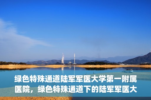 绿色特殊通道陆军军医大学第一附属医院，绿色特殊通道下的陆军军医大学第一附属医院探索与实践