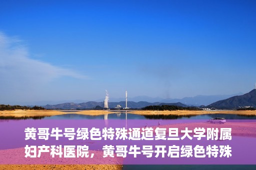 黄哥牛号绿色特殊通道复旦大学附属妇产科医院，黄哥牛号开启绿色特殊通道，复旦大学附属妇产科医院助力健康新篇章