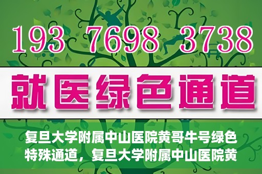 复旦大学附属中山医院黄哥牛号绿色特殊通道，复旦大学附属中山医院黄哥牛号，绿色特殊通道开启健康之门