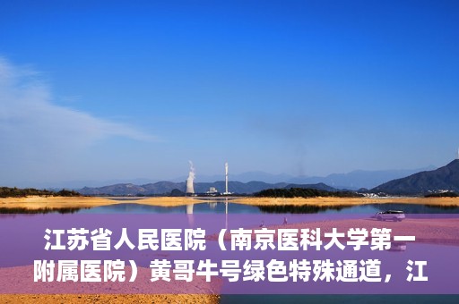 江苏省人民医院（南京医科大学第一附属医院）黄哥牛号绿色特殊通道，江苏省人民医院绿色特殊通道，黄哥牛号的医疗速度与温情服务