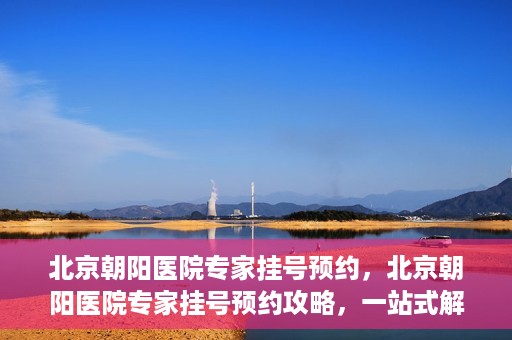 北京朝阳医院专家挂号预约，北京朝阳医院专家挂号预约攻略，一站式解决您的就医难题