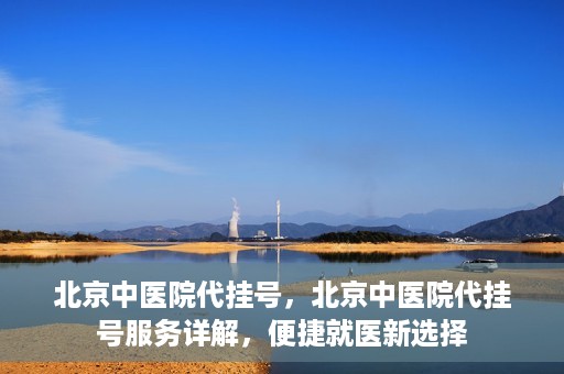 北京中医院代挂号，北京中医院代挂号服务详解，便捷就医新选择