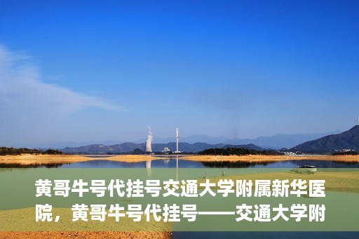黄哥牛号代挂号交通大学附属新华医院，黄哥牛号代挂号——交通大学附属新华医院的健康护航之路