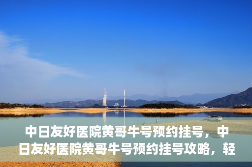 中日友好医院黄哥牛号预约挂号，中日友好医院黄哥牛号预约挂号攻略，轻松挂号，健康无忧！