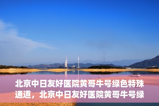 北京中日友好医院黄哥牛号绿色特殊通道，北京中日友好医院黄哥牛号绿色就医特殊通道解析