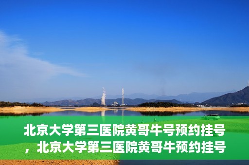 北京大学第三医院黄哥牛号预约挂号，北京大学第三医院黄哥牛预约挂号攻略，轻松预约专家号