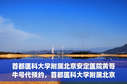 首都医科大学附属北京安定医院黄哥牛号代预约，首都医科大学附属北京安定医院黄哥牛号预约服务解析