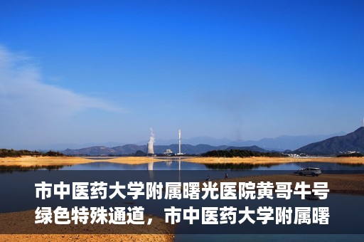 市中医药大学附属曙光医院黄哥牛号绿色特殊通道，市中医药大学附属曙光医院黄哥牛号，绿色特殊通道开启健康之门
