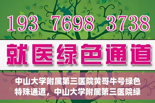 中山大学附属第三医院黄哥牛号绿色特殊通道，中山大学附属第三医院绿色特殊通道，黄哥牛号引领医疗创新之路