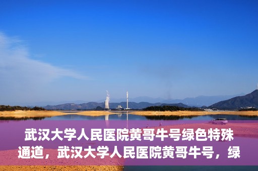 武汉大学人民医院黄哥牛号绿色特殊通道，武汉大学人民医院黄哥牛号，绿色特殊通道开启