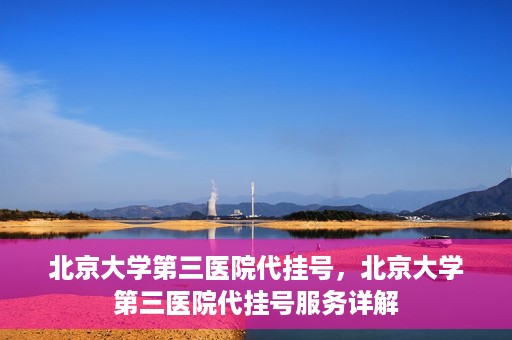 北京大学第三医院代挂号，北京大学第三医院代挂号服务详解