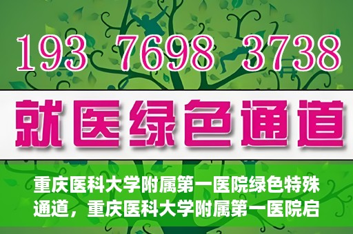 重庆医科大学附属第一医院绿色特殊通道，重庆医科大学附属第一医院启动绿色特殊通道，高效医疗服务的探索与实践