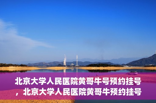 北京大学人民医院黄哥牛号预约挂号，北京大学人民医院黄哥牛预约挂号攻略，轻松预约，便捷就医